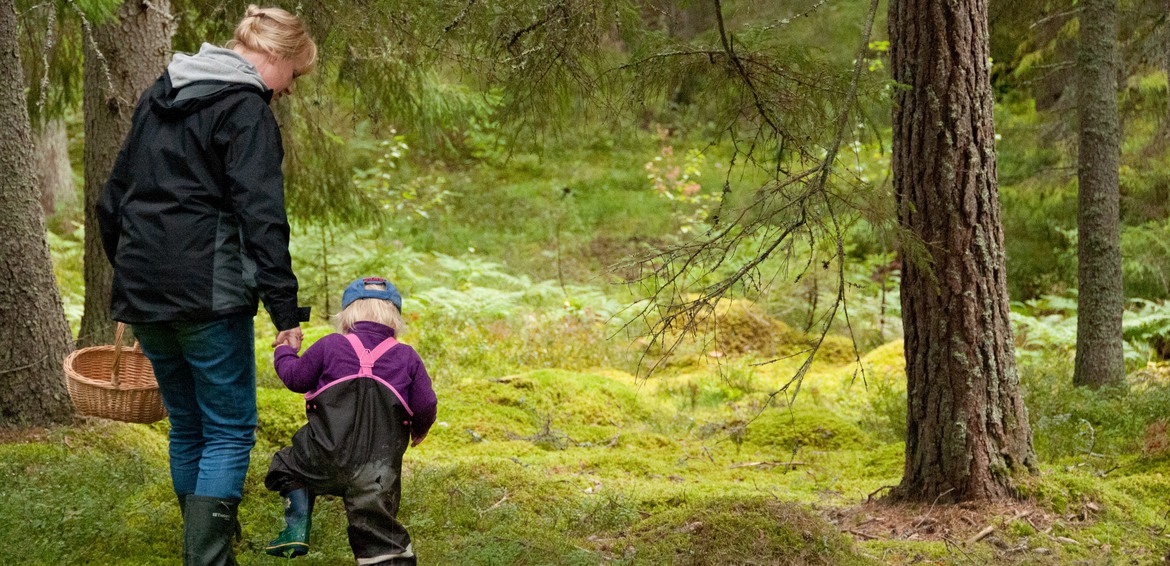 Vuxen och barn tillsammans i skogen. Foto: Ulrika Lagerlöf
