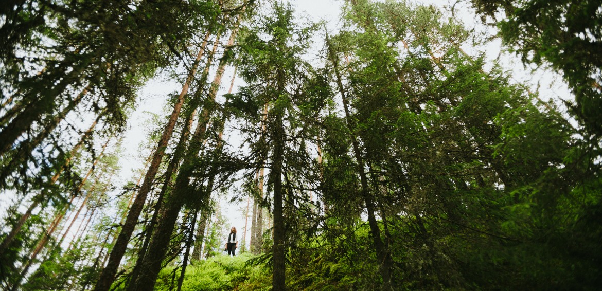Skogsvy med människa på avstånd. Foto: Matilda Holmqvist